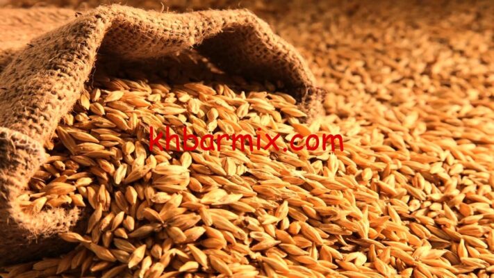 أسعار الأرز الشعير