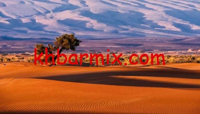 -الطائرة-المهجورة-في-صحراء-الوركاء-e1764897832430 الطائرة الشبحية في صحراء الوركاء: الحقيقة الكاملة وراء الصور المتداولة 2025