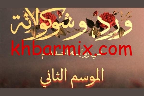 ورد وشوكولاتة 2