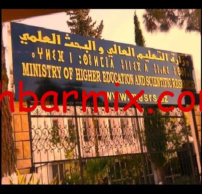 أستاذ مساعد