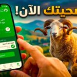 اضحيتي منصة بيع الأغنام 2026 بالجزائر