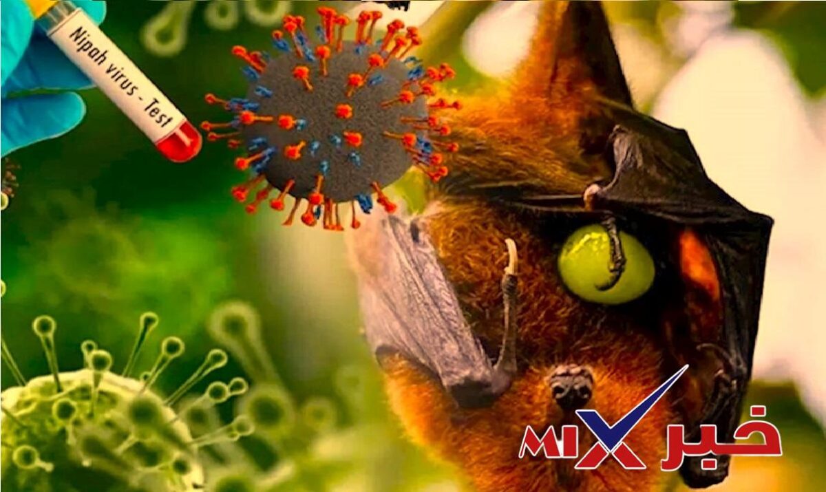 اعراض فيروس نيباه 2026