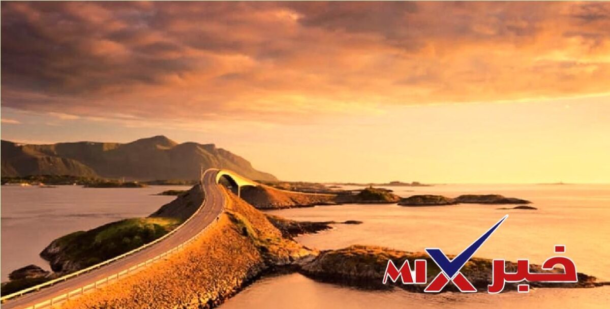 اِسْتَطَاعَ أَيْمَنُ أَنْ يُزِيلَ الْفَرْعَ عَنِ الطَّرِيقِ بِمُفْرَدِهِ. صواب خطأ