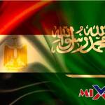 تأشيرة اضطرارية استثنائية لمصر 2026