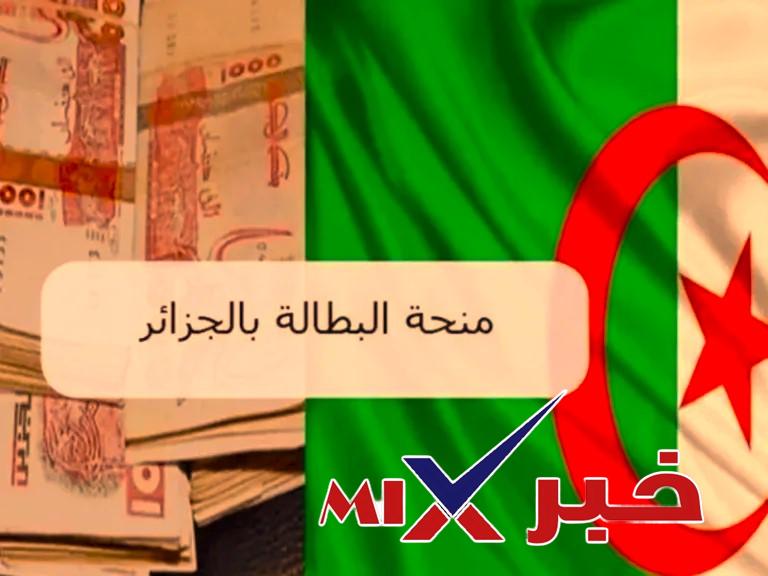 تجديد-منحة-البطالة رابط موقع منحة البطالة minha anem dz 2026: طريقة التسجيل والشروط وأهم مستجدات دفعات الصرف في الجزائر