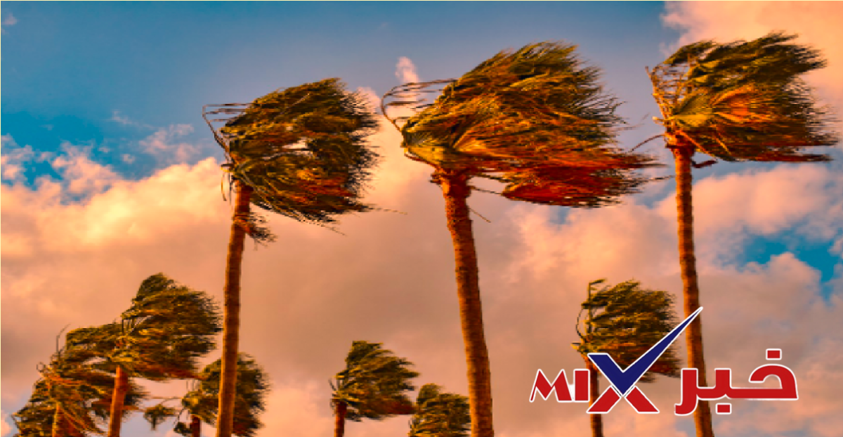 تحذير عاجل من الديوان الوطني للأرصاد الجوية بالجزائر 2026