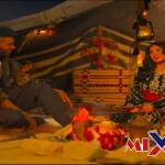 خيمة حليمة 2026