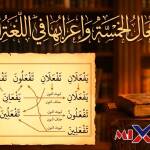 علامة رفع الفعل المضارع دائمًا الضمة الظاهرة على آخره. صواب خطأ