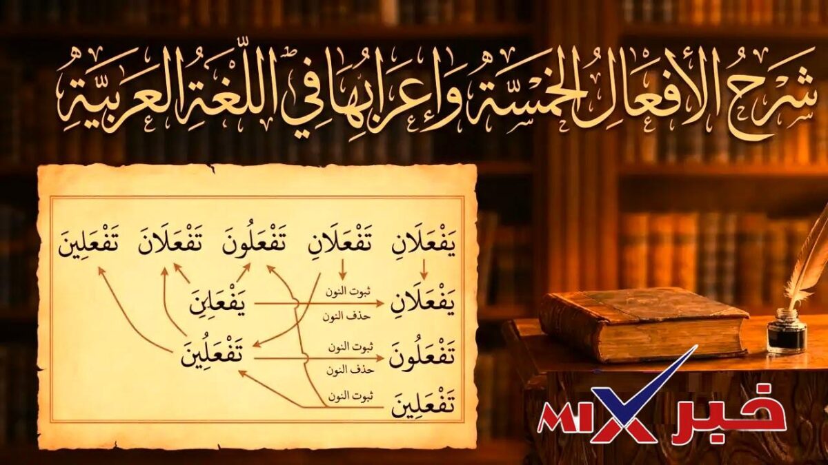 علامة رفع الفعل المضارع دائمًا الضمة الظاهرة على آخره. صواب خطأ