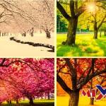 عندما تسقط أشعة الشمس على سطح جزء من الأرض بزاوية شبه عمودية ينشأ فصل. الخريف الصيف الشتاء الربيع