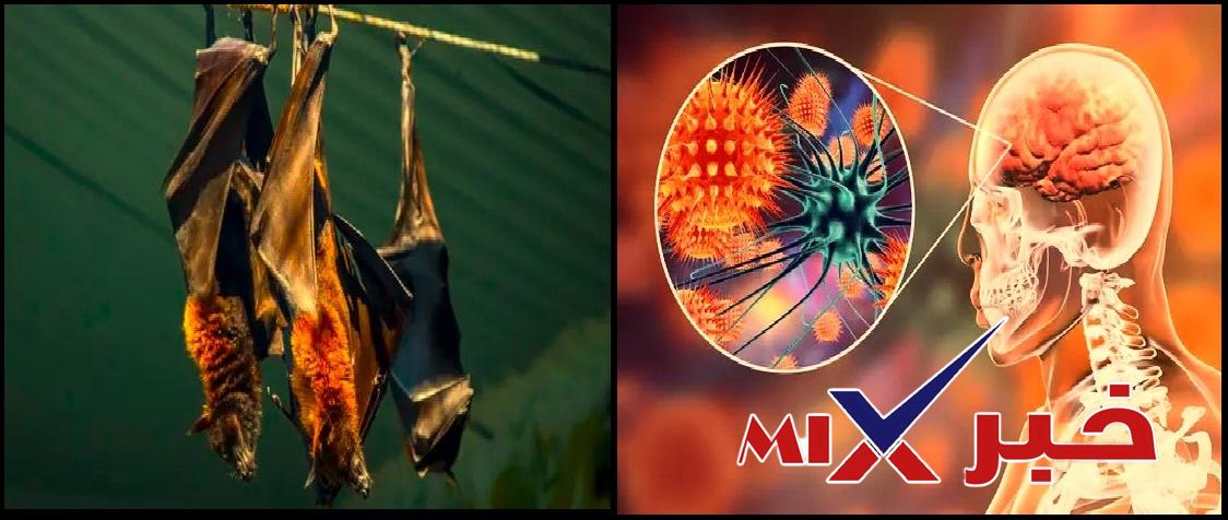 فيروس نيباه القاتل 2026