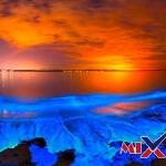 قاعدة طبيعية تجمع مشاهدات مترابطة لوصف ظاهرة طبيعية متكررة؟