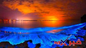 قاعدة طبيعية تجمع مشاهدات مترابطة لوصف ظاهرة طبيعية متكررة؟