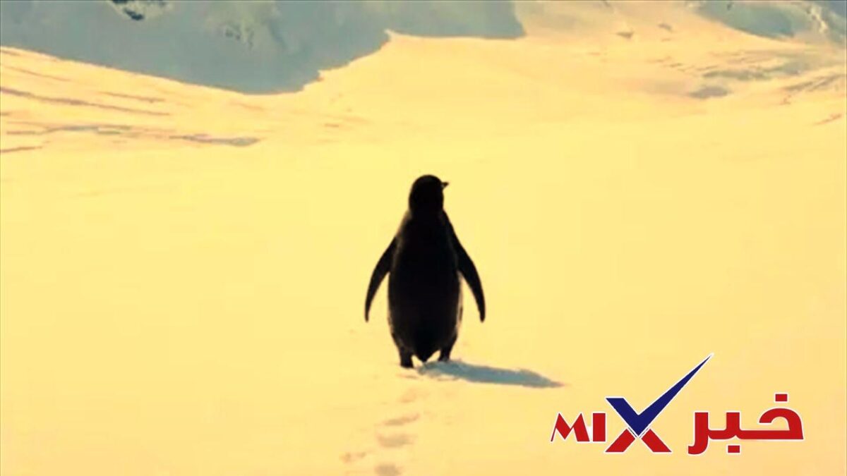 قصة البطريق العدمي