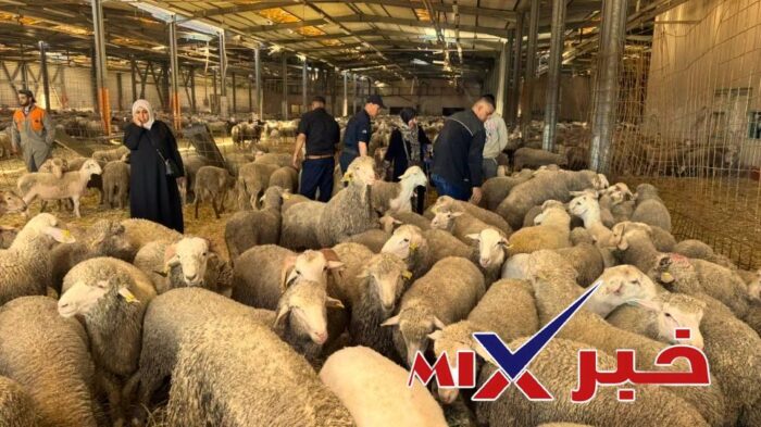 كيف يمكنني شراء الأضاحي عن طريق الراجحي؟