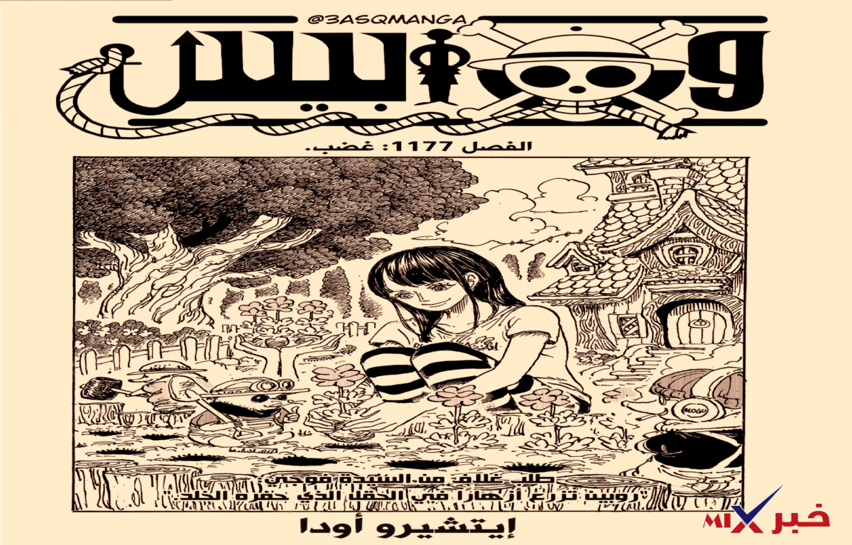 مانجا ون بيس 1177