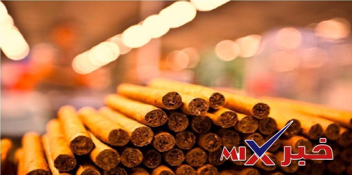 مستجدات قضية شركة التبغ ستايم 2026