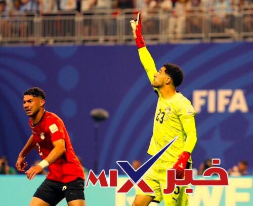مصطفى شوبير