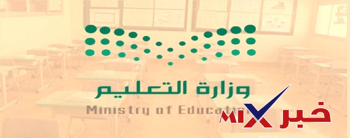 معنى خصخصة التعليم