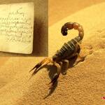 من نتائج وقراءة الأوراد في حفظ الله الوقاية من الشرور والآفات كلدغ العقارب والحشرات. صواب خطأ