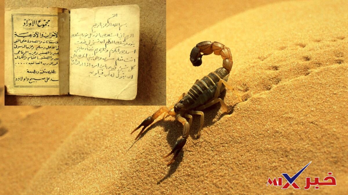 من نتائج وقراءة الأوراد في حفظ الله الوقاية من الشرور والآفات كلدغ العقارب والحشرات. صواب خطأ