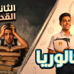 نظام البكالوريا المصرية 2026-2027