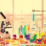 يطلق مصطلح النظرية على التفسير الذي تدعمه بقوة نتائج التجارب العملية صواب خطأ