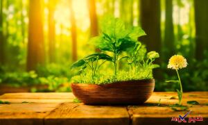 يعد تركيز النباتات الخضراء مشيرا جيدا لتوزيع المخلوقات على سطح الأرض